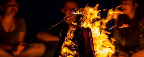 people sitting around a beach fire at night