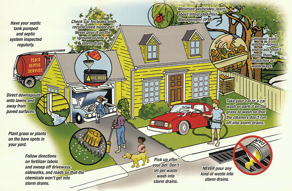 have your septic tank pumped and system inspected regularly; check car for leaks and recycle used motor oil. never pour it on the ground or into a storm drain; minimize pesticides. learn about integrated pest management (IPM); compost yard waste, leaves, and grass. don't dump them in ditches or waterways; take your car to a car wash or park it in the grass to wash so that the cleaners don't run off into storm drains; never our any kind of waste into storm drains; pick up after your pet. don't let pet waste wash into storm drains; follow directions on fertilizer labels and sweep off driveways, sidewalks, and roads so that the chemicals won't get into storm drains; plant grass or plants on the bare spots in your yard; direct downspouts onto lawns and away from paved surfaces