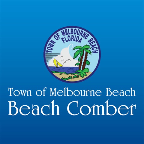 Beach Comber icon