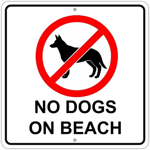 no dogs on beach sign